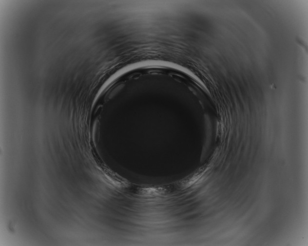 X0000095530239200712141509