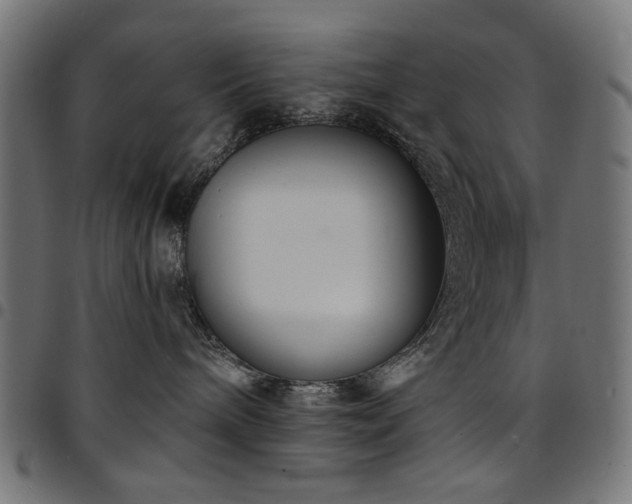 X0000095530240200712141509