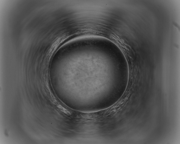 X0000095530241200712141508