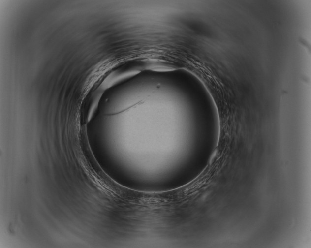 X0000095530242200712141508