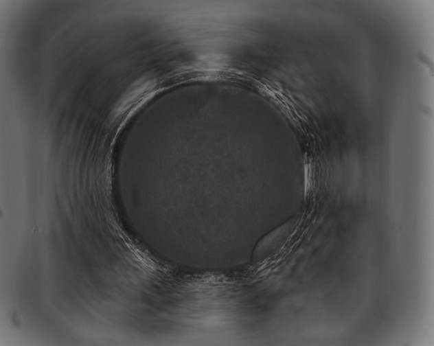 X0000095530243200712141508
