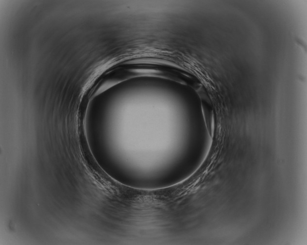 X0000095530244200712141508