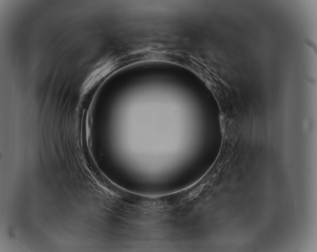 X0000095530245200712141508