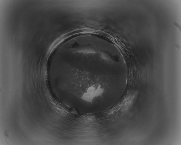 X0000095530247200712141508