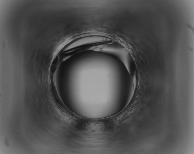 X0000095530248200712141508