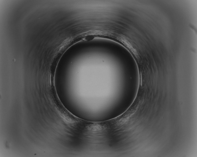 X0000095530253200712141508