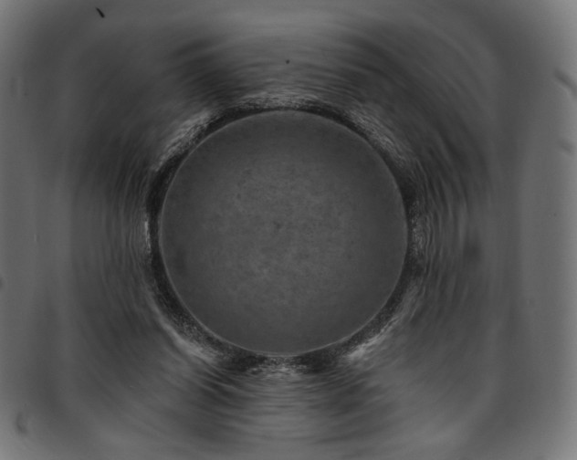 X0000095530254200712141508