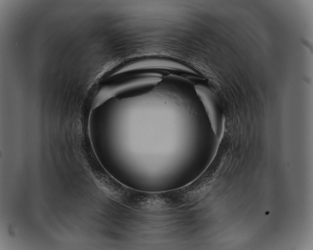 X0000095530256200712141508