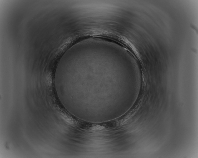 X0000095530257200712141508