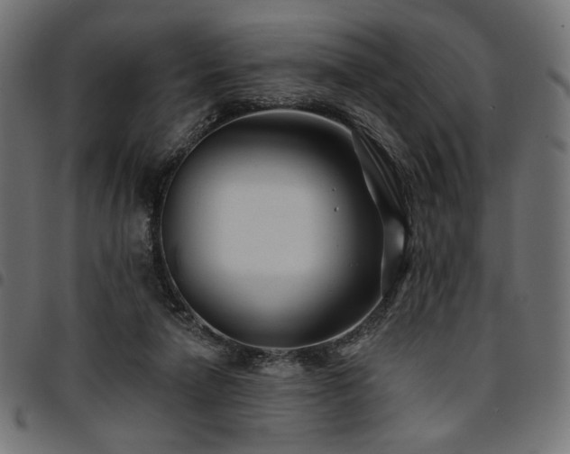 X0000095530258200712141508