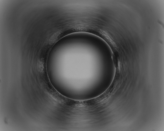 X0000095530259200712141508
