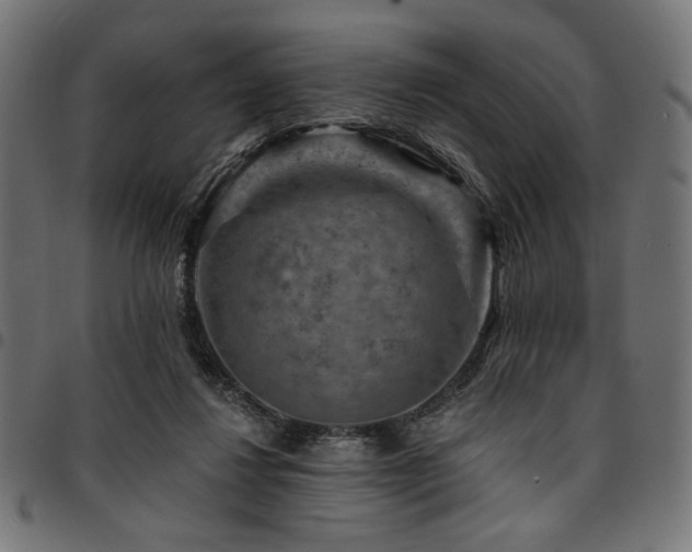 X0000095530260200712141508