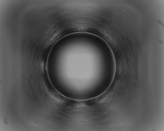 X0000095530262200712141509