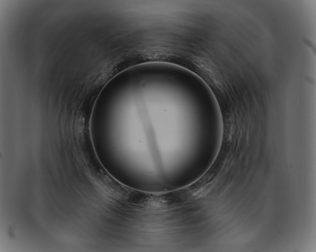 X0000095530263200712141509