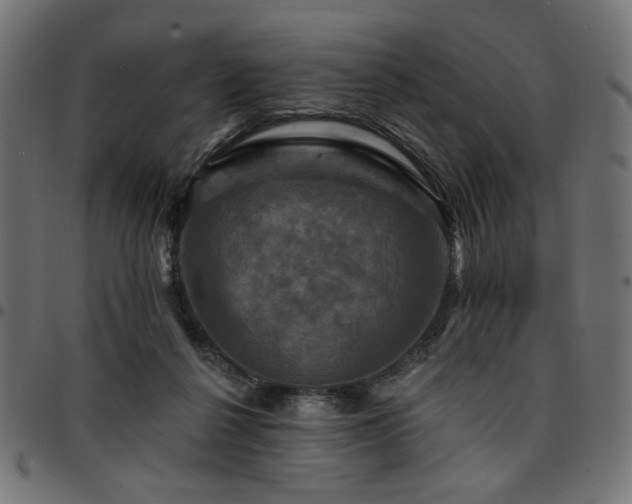 X0000095530264200712141509