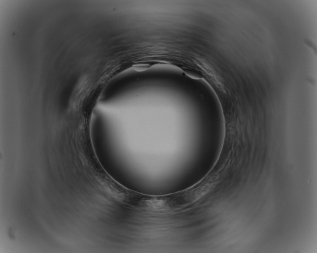 X0000095530265200712141509