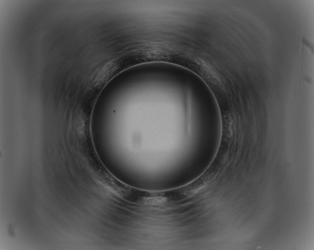 X0000095530266200712141509