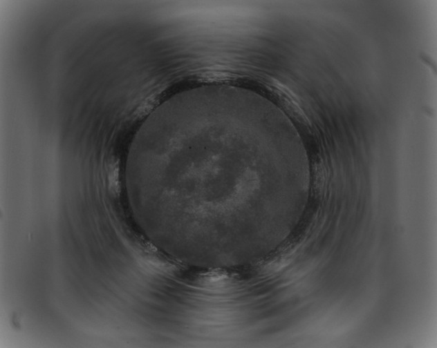 X0000095530267200712141509