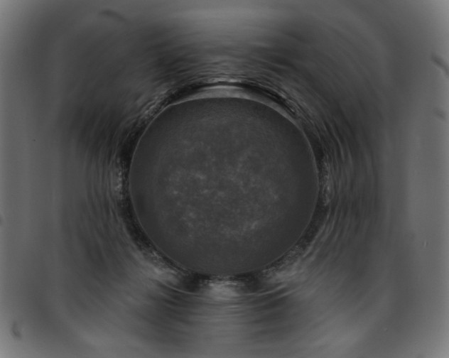 X0000095530268200712141509