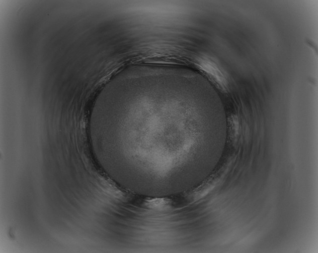 X0000095530269200712141509