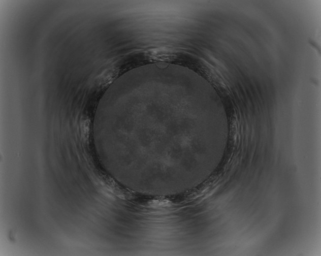X0000095530271200712141509