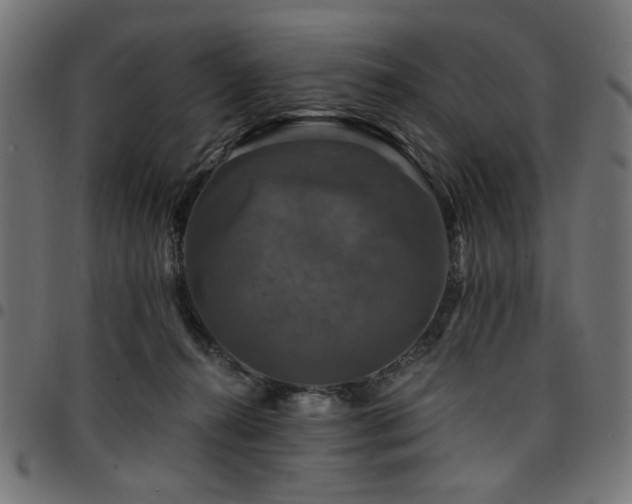 X0000095530272200712141509