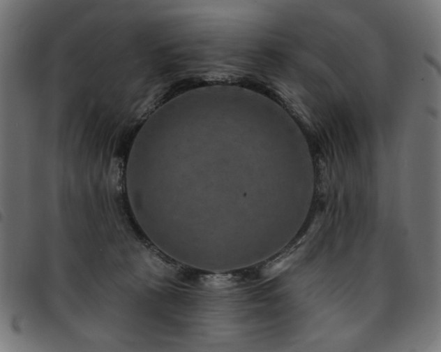 X0000095530273200712141509