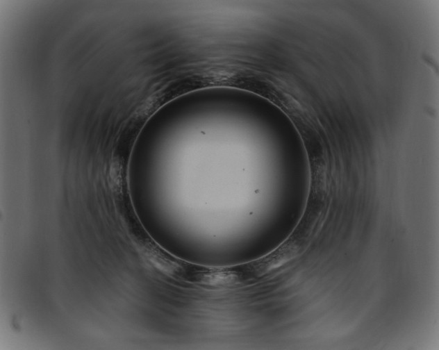 X0000095530274200712141509
