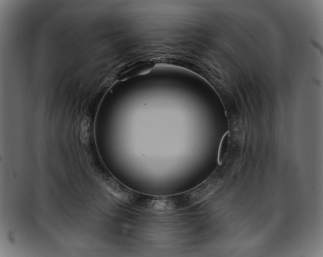 X0000095530275200712141509