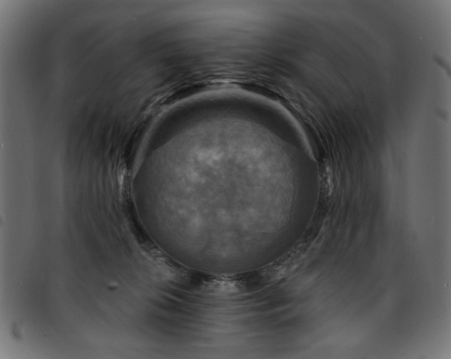 X0000095530276200712141509