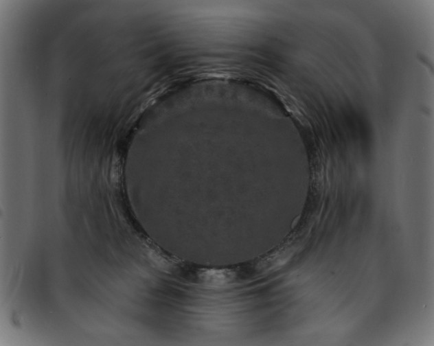 X0000095530277200712141509