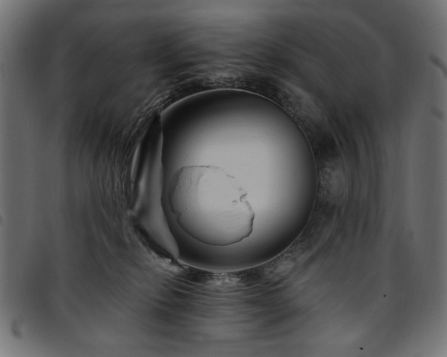 X0000095530278200712141509