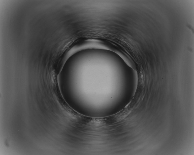 X0000095530280200712141509
