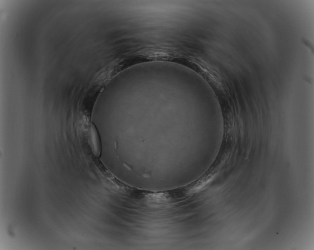 X0000095530281200712141509