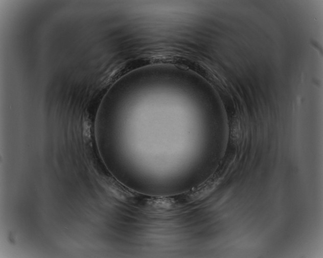 X0000095530282200712141509