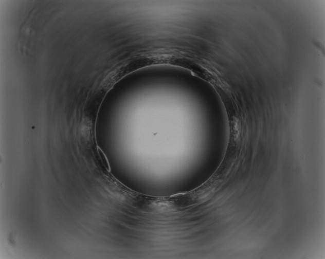 X0000095530283200712141509