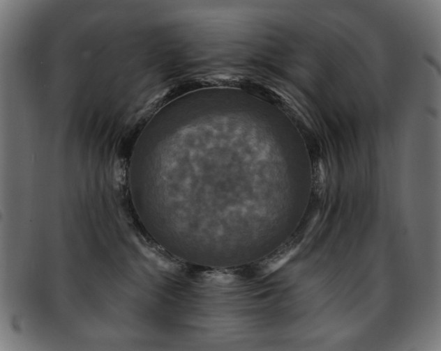 X0000095530284200712141509