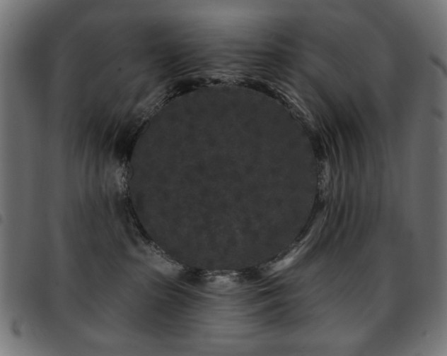 X0000095530285200712141509