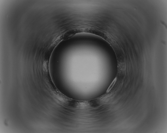 X0000095530286200712141509