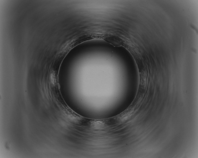 X0000095530287200712141509
