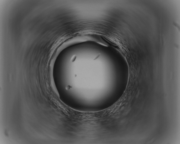 X0000095530289200712141508
