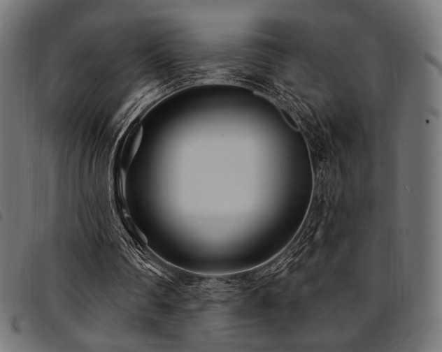 X0000095530290200712141508