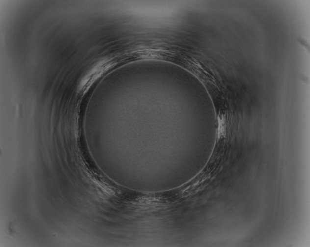 X0000095530291200712141508
