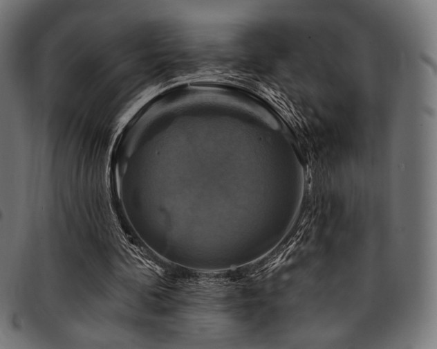 X0000095530292200712141508
