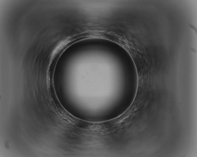 X0000095530294200712141508