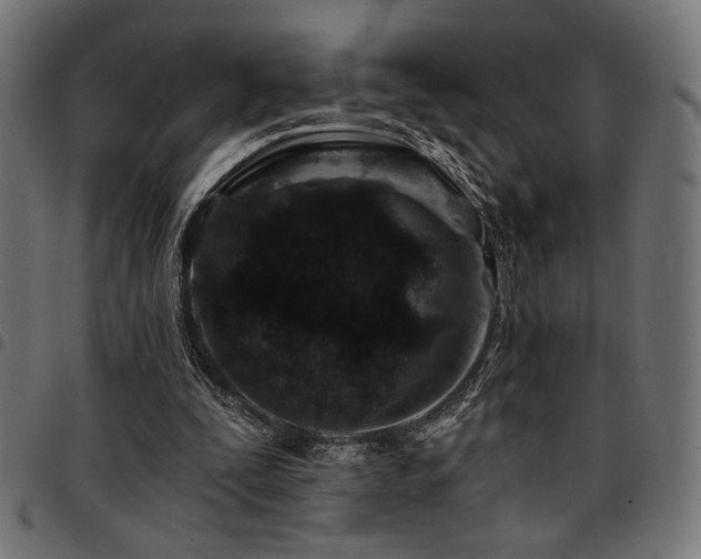 X0000095530295200712141508