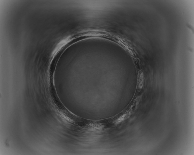 X0000095530296200712141508