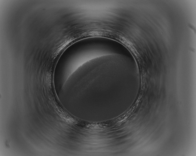 X0000095530297200712141508
