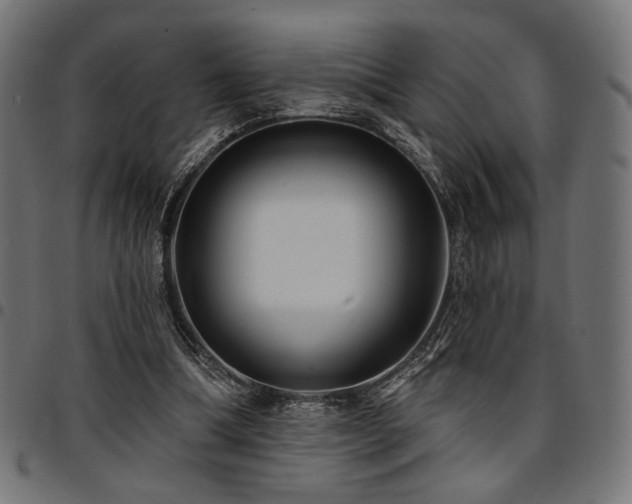 X0000095530298200712141508