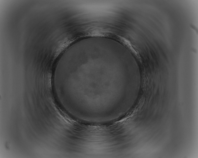 X0000095530299200712141508
